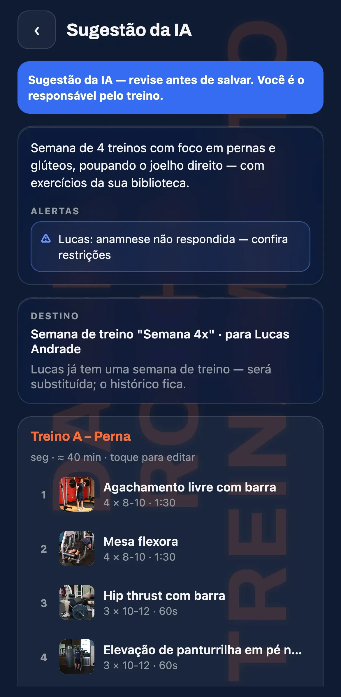 Sugestão da IA para o personal revisar: resumo, alertas da anamnese e os exercícios de cada treino.